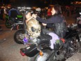 /album/evento-de-mariana/mariana-vira-latas-32-jpg/